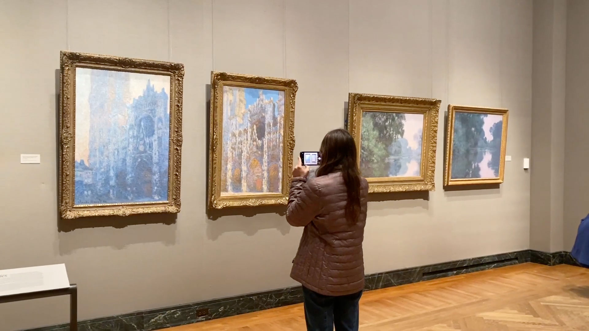 Observing Monet